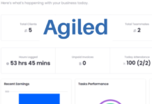 Agiled Review: A Business Owner’s Perspective Agiled review